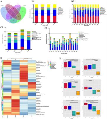 Effects of organic and inorganic copper on cecal microbiota and short-chain fatty acids in growing rabbits